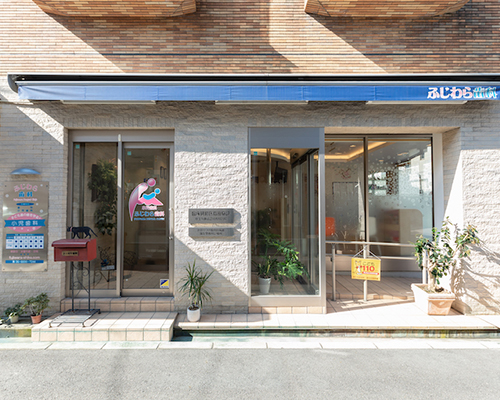 院長 藤原 成樹 Fujiwara Shigeki