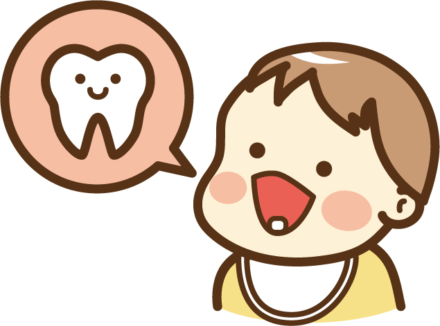 乳歯の大切な役割