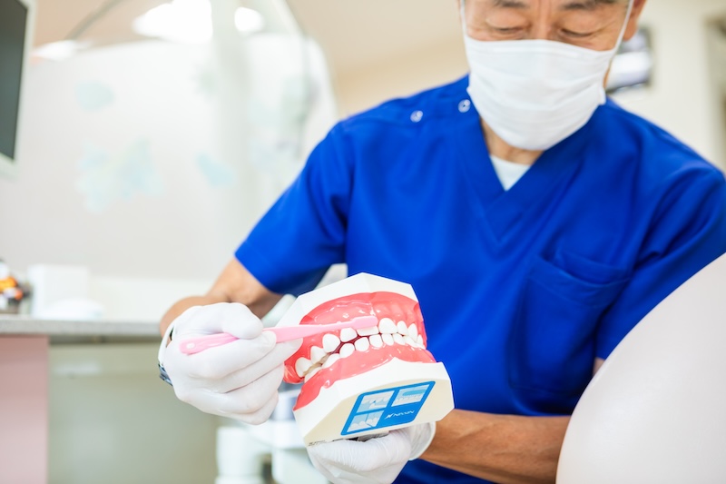 成長に合わせた自然の仕組み